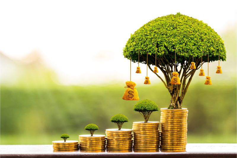 Invest in a Brighter Future