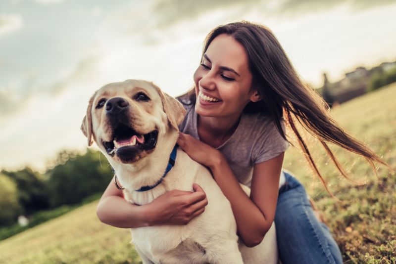 Rescue A Dog: Make Sure You Adopt the Perfect Dog!
